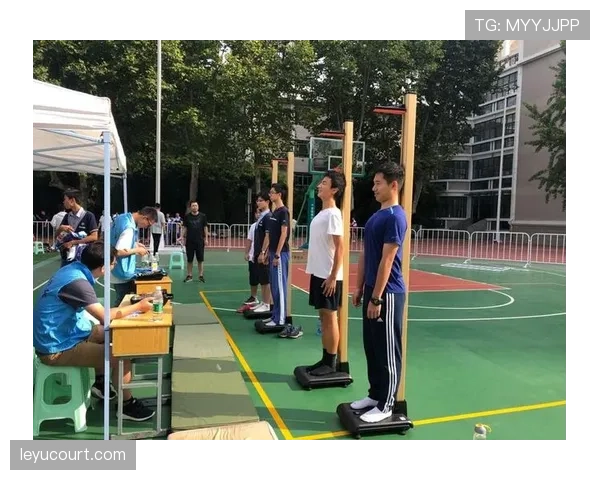篮球视频回放判罚规则的适用范围与执行标准解析
